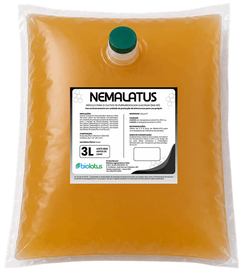 Inóculo nematicida microbiológico NEMALATUS Biolatus - Metarhizium anisopliae para manejo de fitonematoides