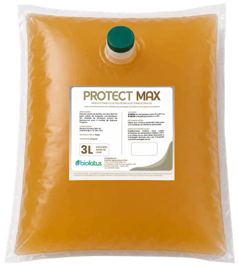 Inóculo fungicida microbiológico PROTECT MAX Biolatus - Bacillus pumilus contra doenças fúngicas