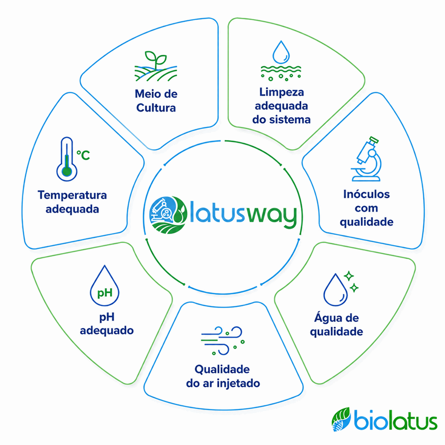 Conceito Latus Way com cultivo de bioinsumos em bags esterilizados descartáveis